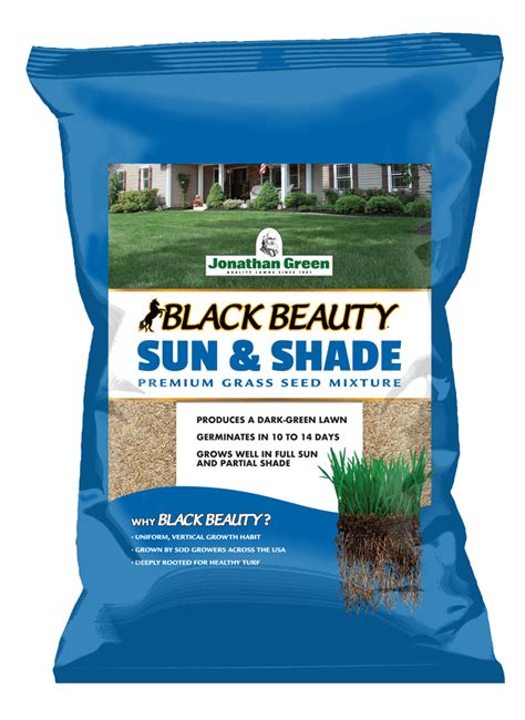 Onyx Beauty Autumn Magic Grass Seed: the Ultimate Solution for Fall Lawns